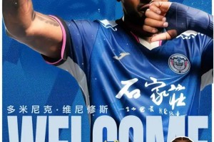 开云下载-官方：原大连鲲城外援多米尼克加盟石家庄功夫